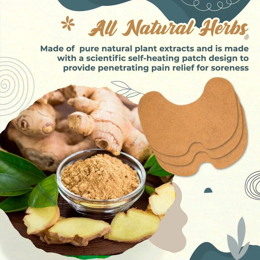 Ayurvedic Knee Pain Relief Patch Kit (Pack of 10) 🌱