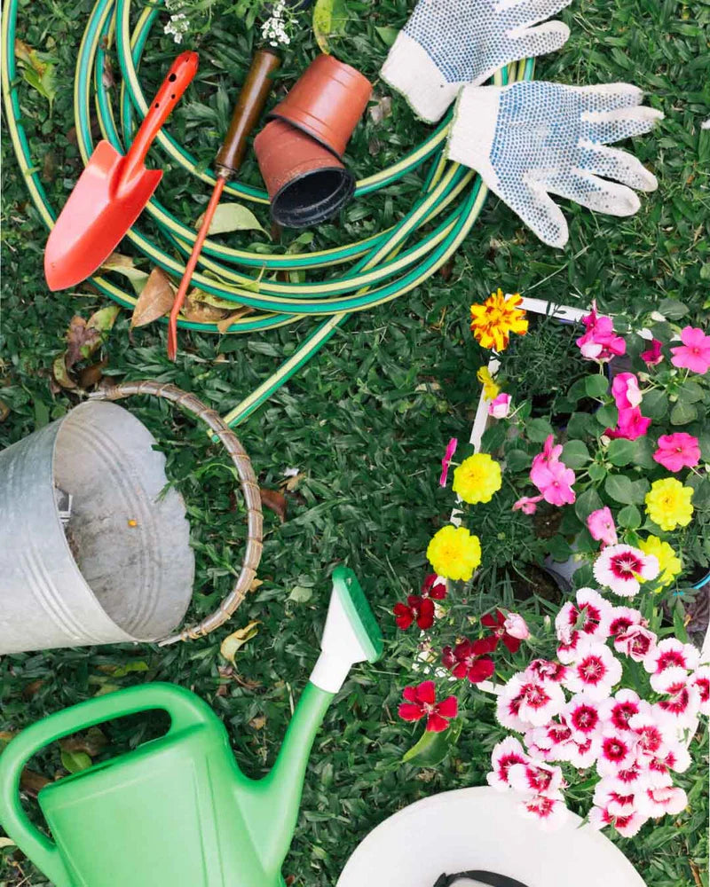 Home & Garden