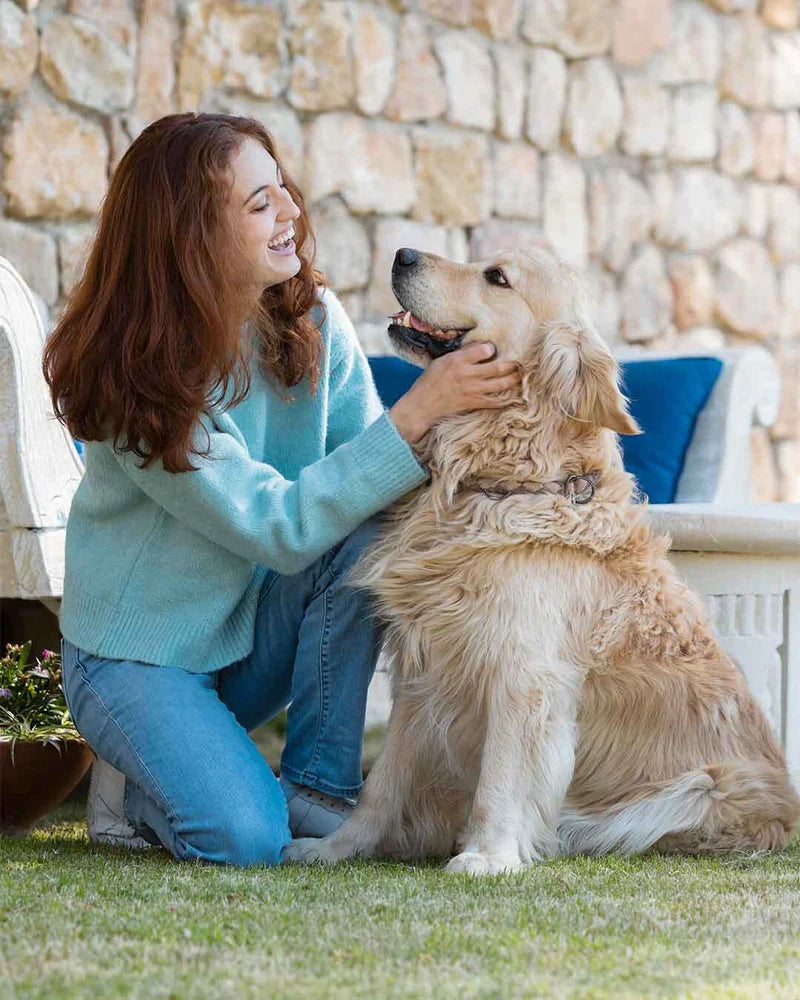Pet Care