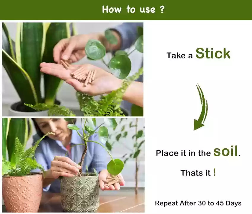 Fertilizer Sticks For Plants (Pack of 50 Sticks)🌱
