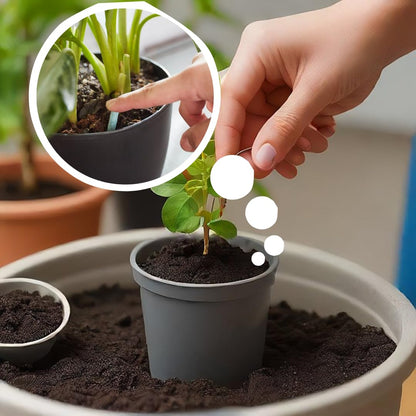 Fertilizer Sticks For Plants (Pack of 50 Sticks)🌱