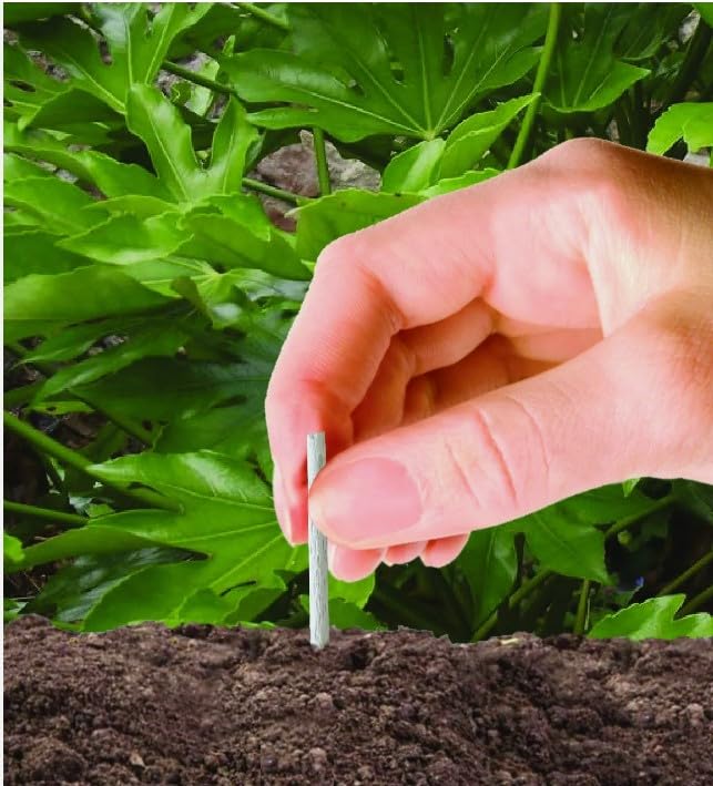 Fertilizer Sticks For Plants (Pack of 50 Sticks)🌱