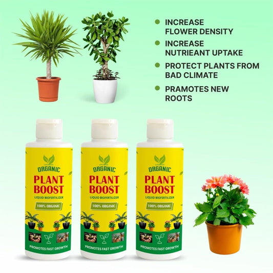 Liquid Fertiliser for Indoor & Outdoor | Pack of 4 (Each 100ml)
