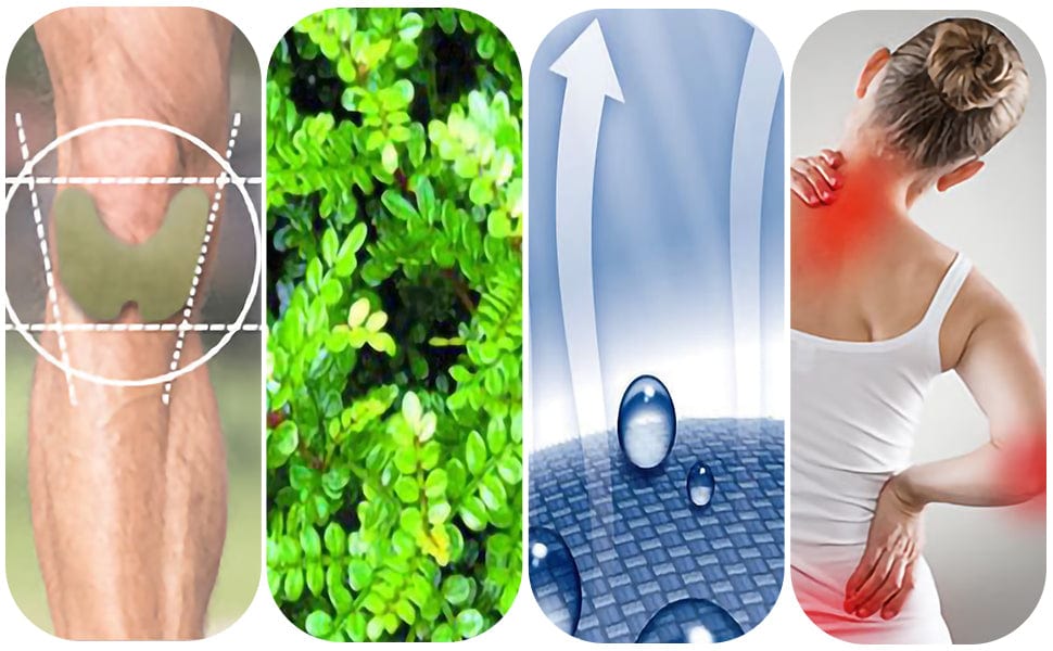 Ayurvedic Knee Pain Relief Patch Kit (Pack of 10) 🌱