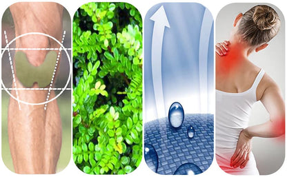 Ayurvedic Knee Pain Relief Patch Kit (Pack of 10) 🌱