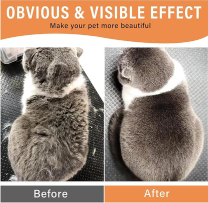 Steam Brush for Pet Hair Grooming, Perfect for Both Cats & Dogs 🐶🐱